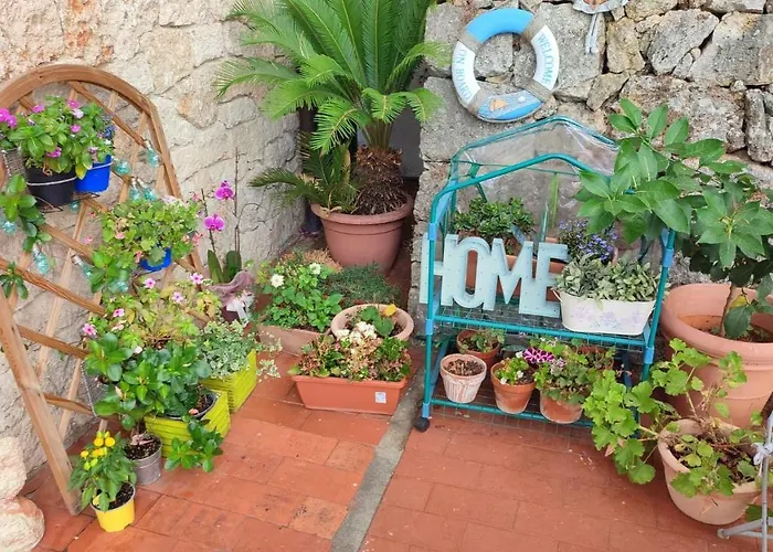 Il Nido Di Kiki Bike &fun 3*